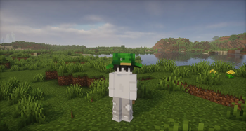 Lively Turtle Helmet Compat