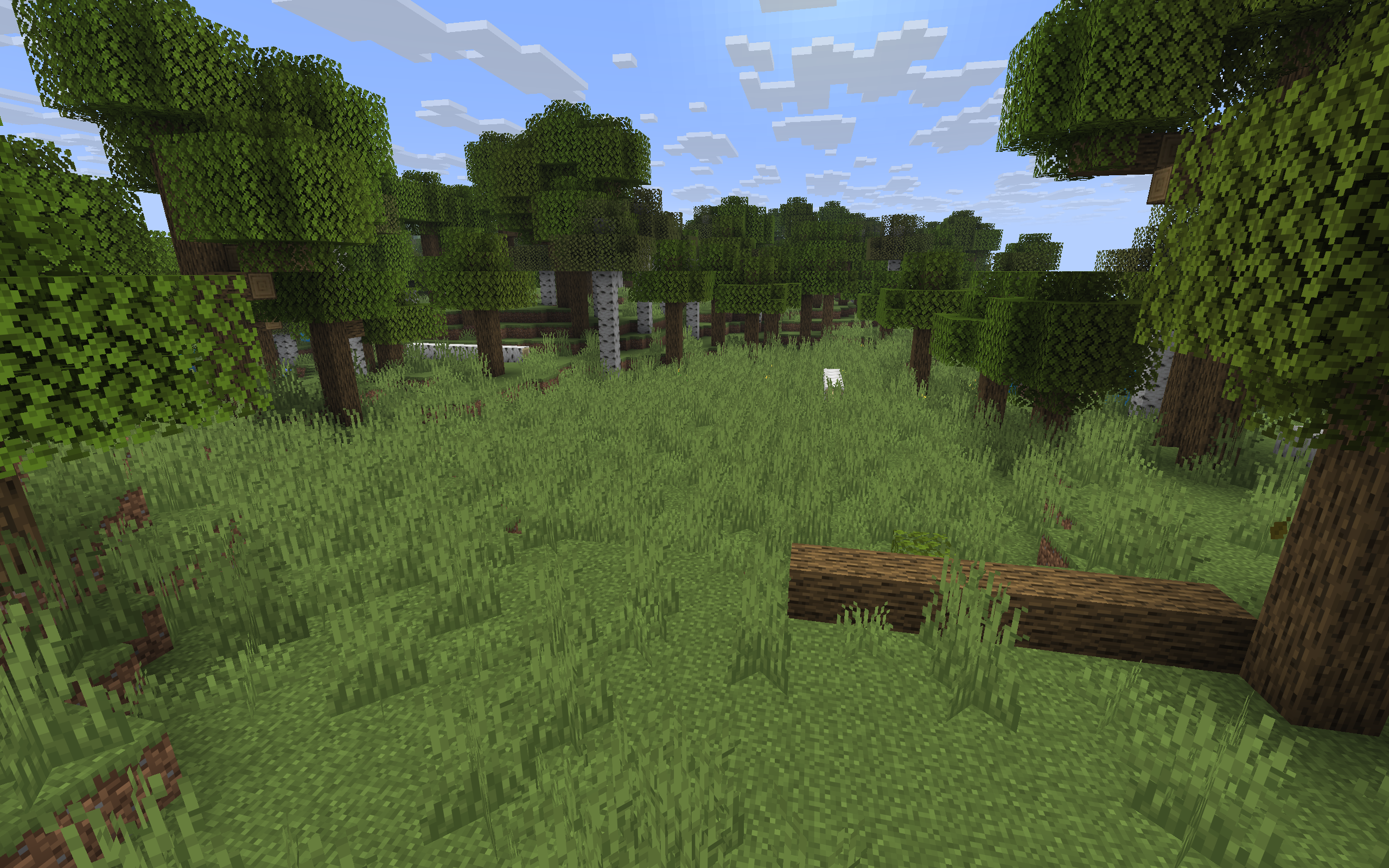 Forest Clearings