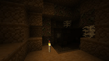 Fossils