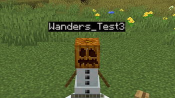 Another example With Resource-Pack