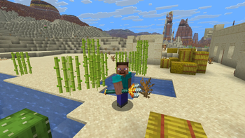 Steve posing with a flat trident