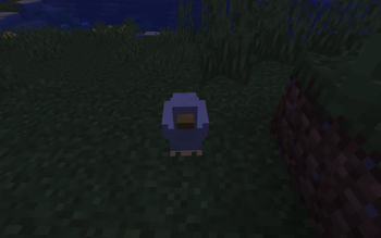 Pekin