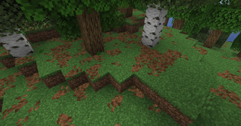 Tinted leaves in a forest