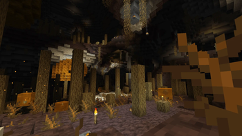 Amber Caves