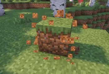 Grass