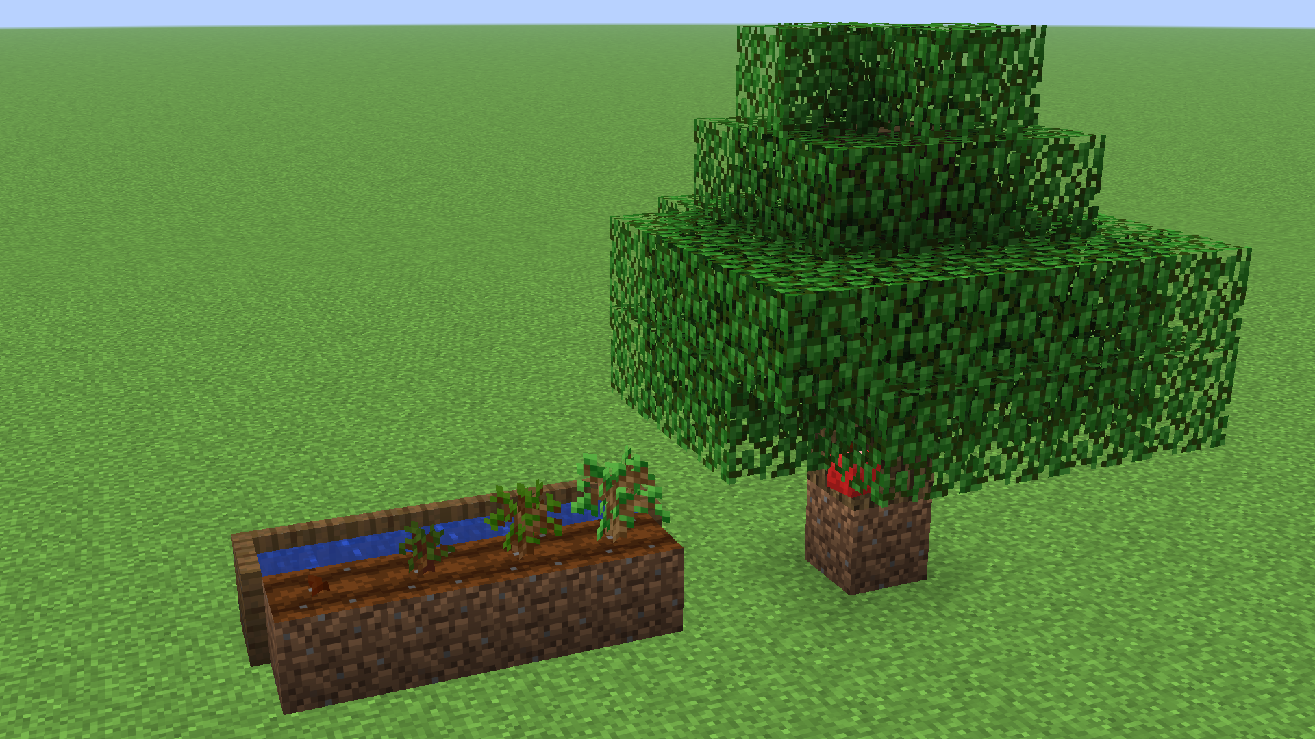 Petrified Sapling growth stages and petrified tree