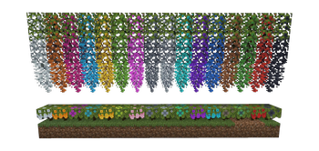 Colorful Leaves