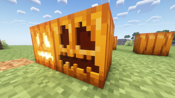 Pumpkins in a field
