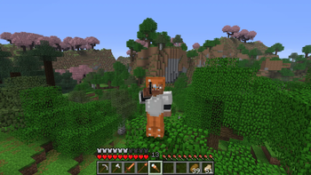 Default World Type