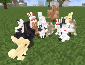 ALL THE BUNNIES