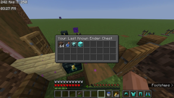 View Last Known Ender Chest