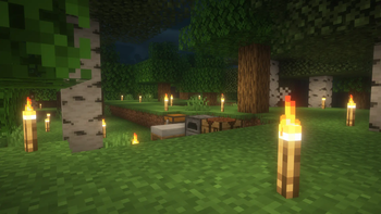 Forest of Torches