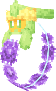Allium