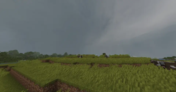 A large tornado, seen from within the inflow