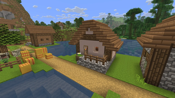 Village