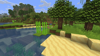 A view of nature