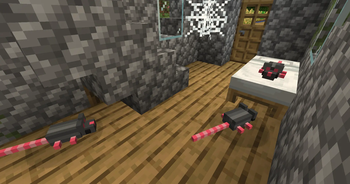 Rats inside an abandoned Farmhouse