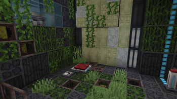 Overgrown