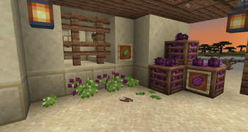 Prickly Pear