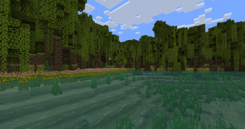 Mangrove Swamp