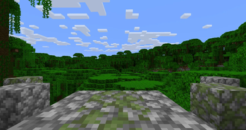Jungle Lookout