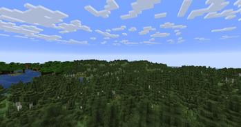 Mixed Birch Forest