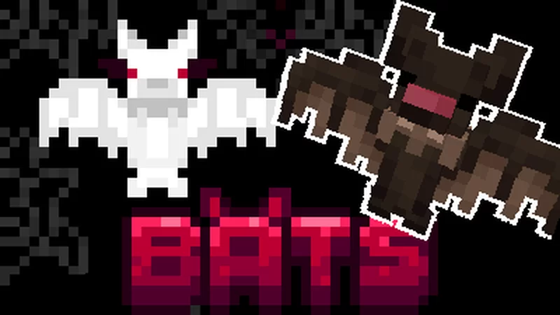 Pack Banner