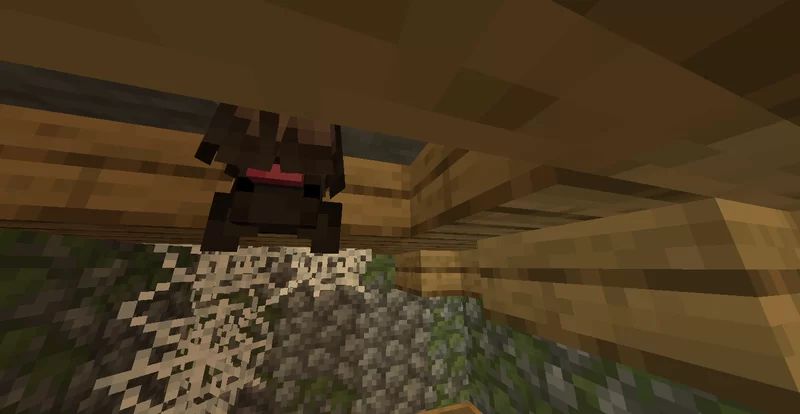 Brown Bat "sleeping"