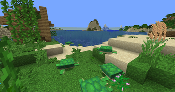turtle)