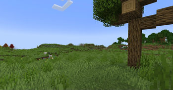 Plains