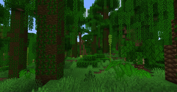 Jungle
