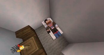 Sleeping hermit