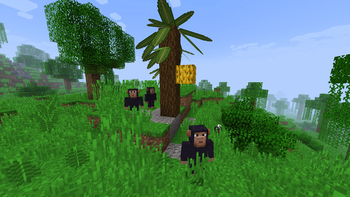 monkey_tree