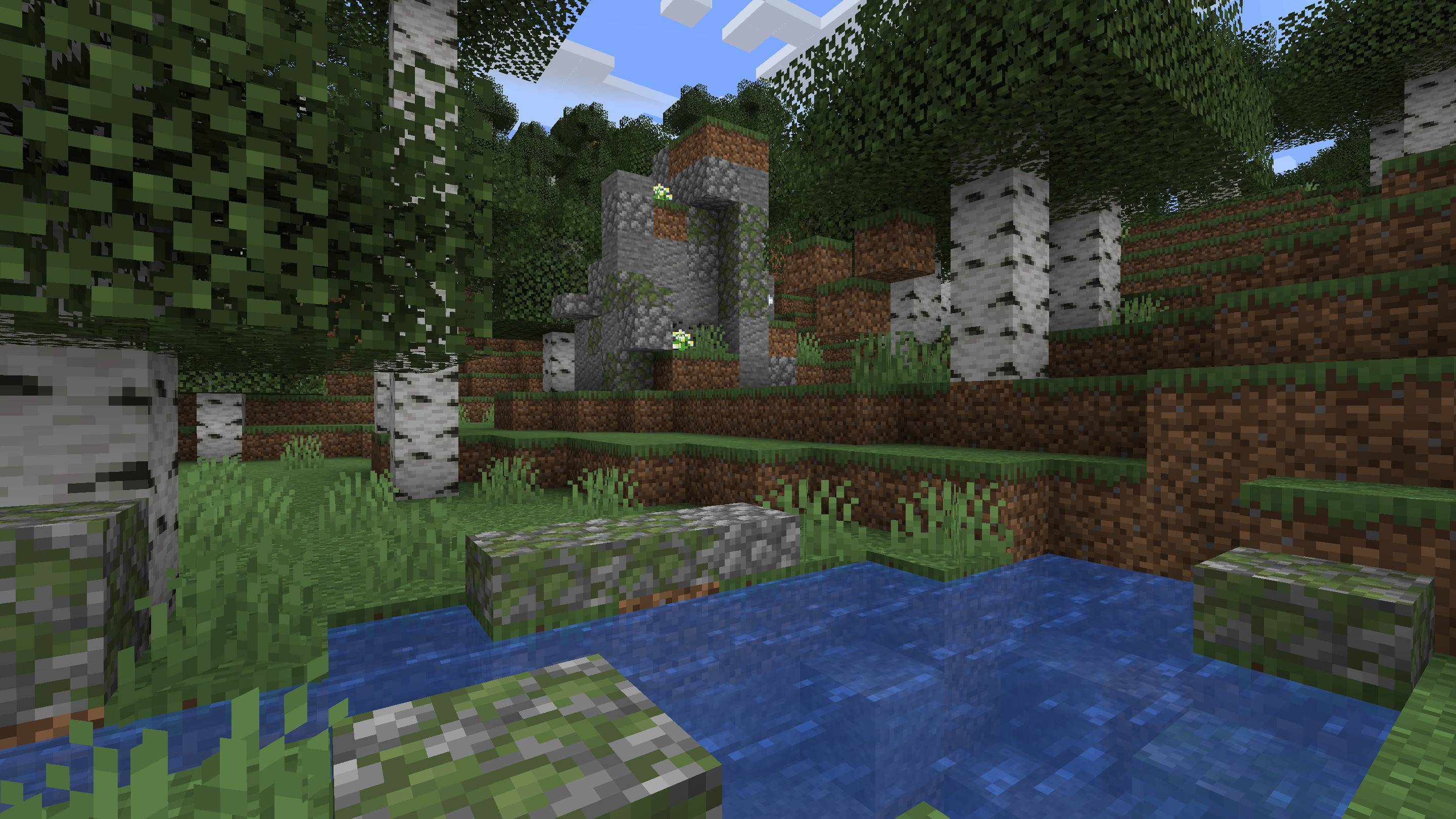 Pond and rock