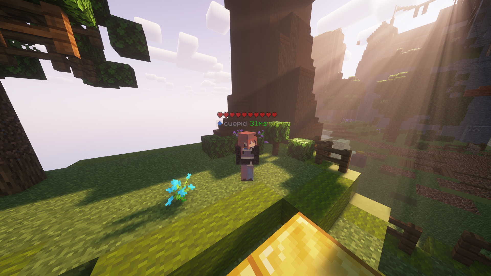Player Health Indicators