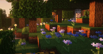 Cornflower Forest