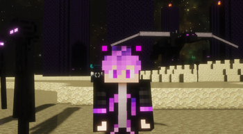 Ender Dragon and warden