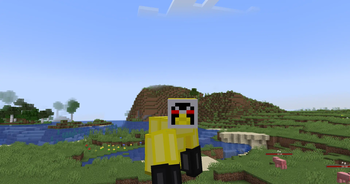 Ape Zord
