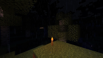 torch