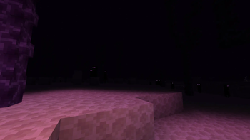 End Dimension