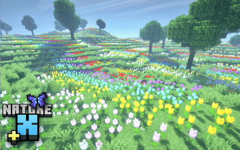 Nature X Plus: Tulip Field