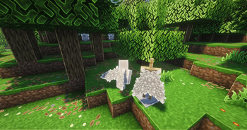 Elytra
