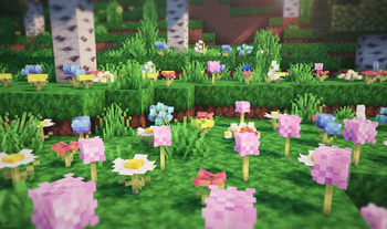 Birch forest