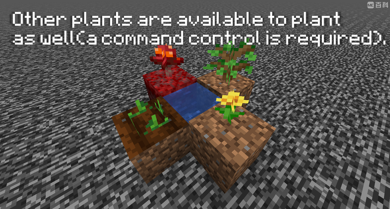 other plant other plant