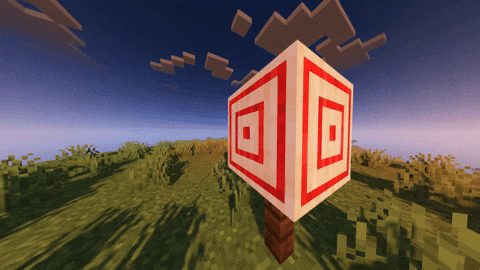 2D Arrow Model