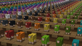 Sheep
