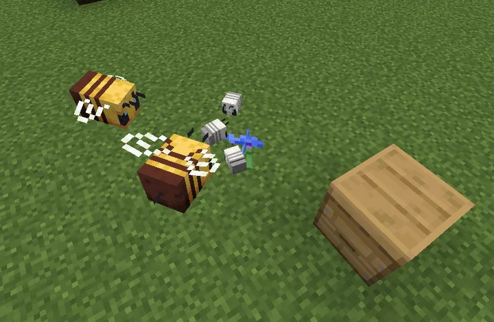 Bee Grubs