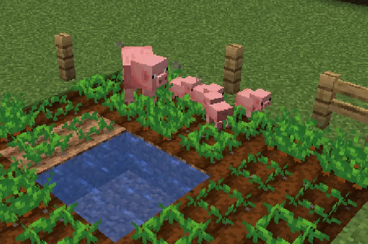 Pigletts