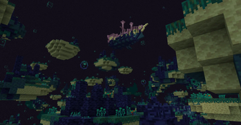 Warped Reef