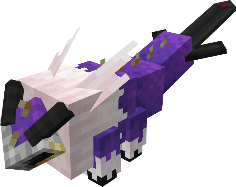 Chivalarva